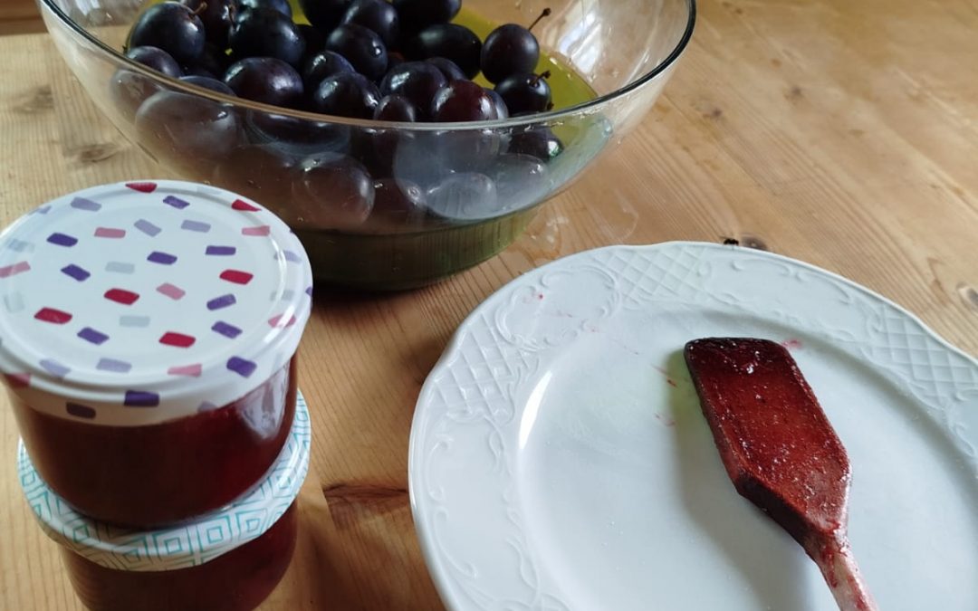 Kochen für Kinder – 05.08./12.08.2026
